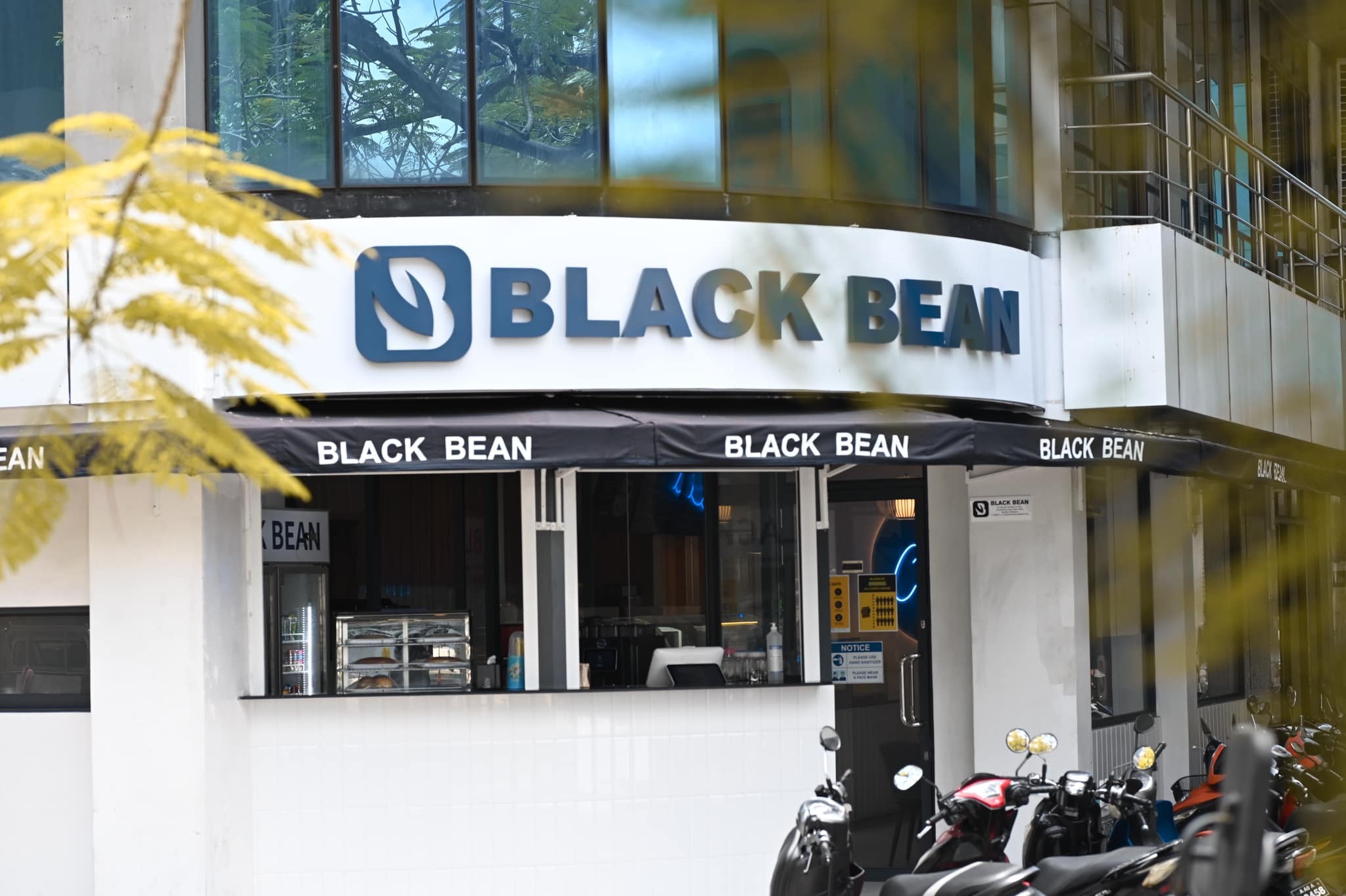Black Bean