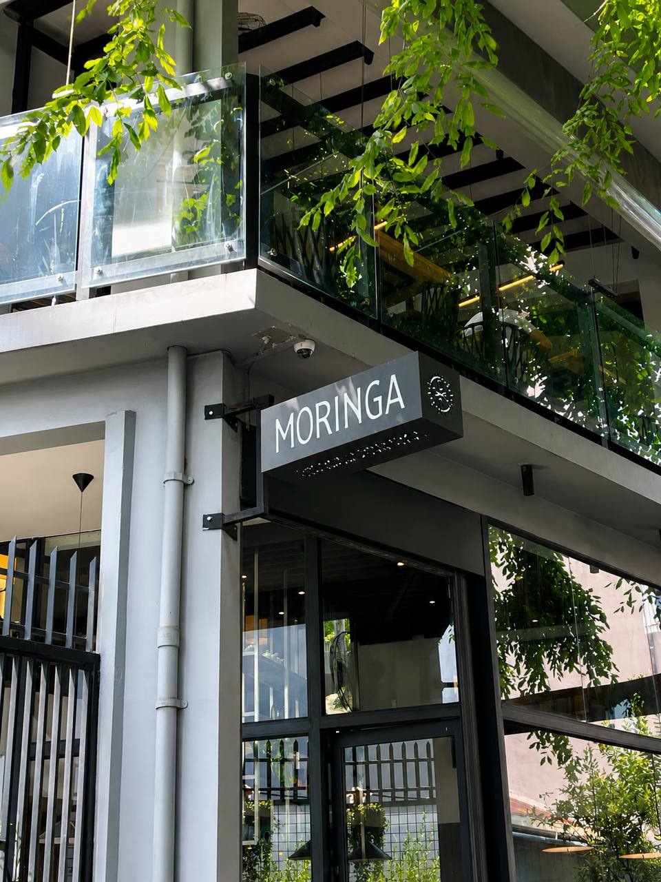 Moringa