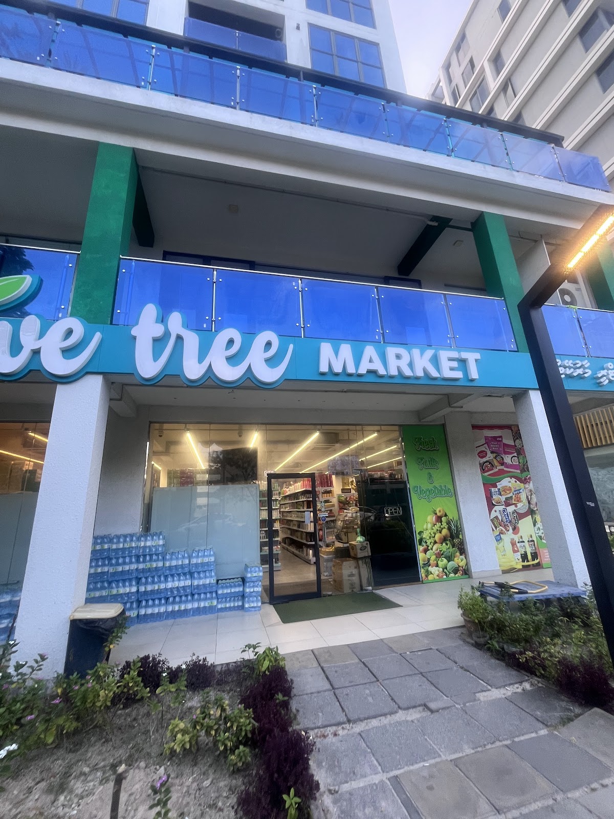Olive Tree 5 – Hulhumalé photo 1
