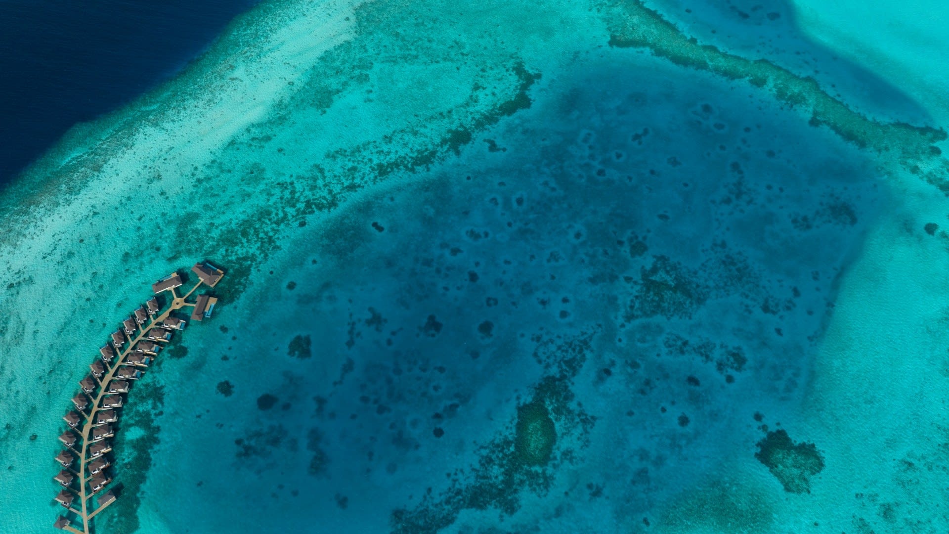 Avani+ Fares Maldives Resort photo 2