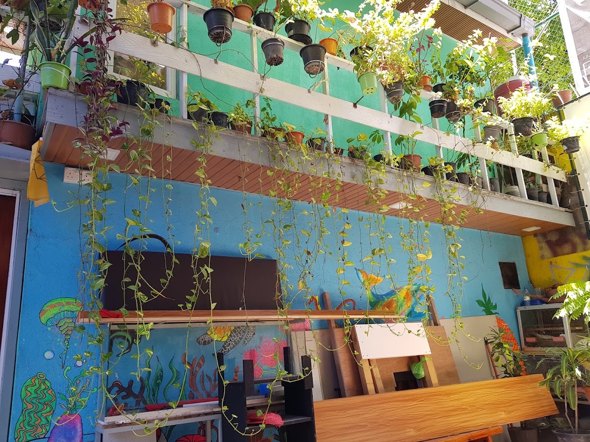 PanAsia Kitchen photo 2